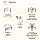 Stingless Bee Honey Pollen