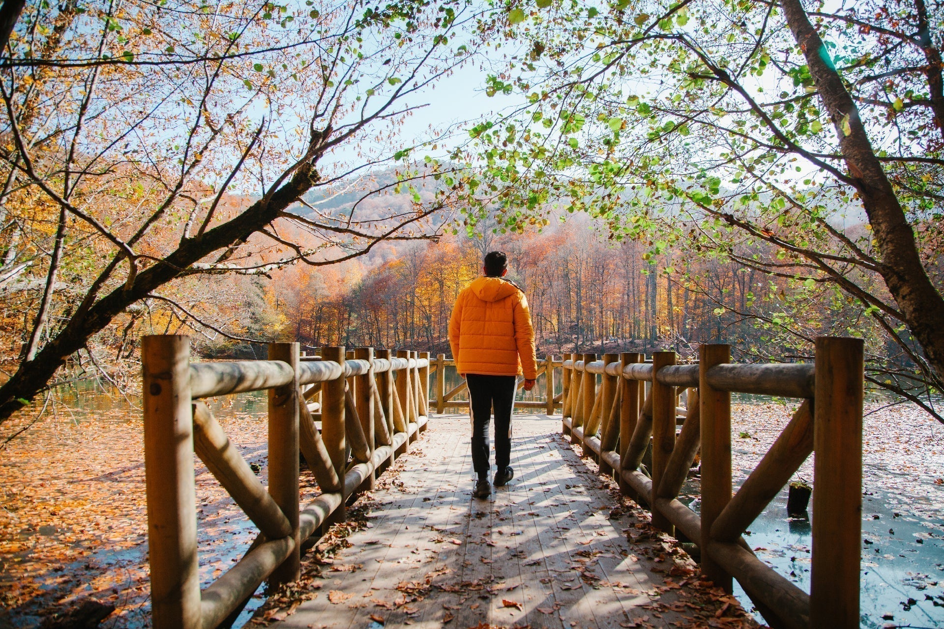 The Story Behind BiyoWellness